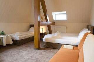 Отель Hotel Dębowy Biowellness & SPA Белява Стандартный двухместный номер с 1 кроватью или 2 отдельными кроватями-1